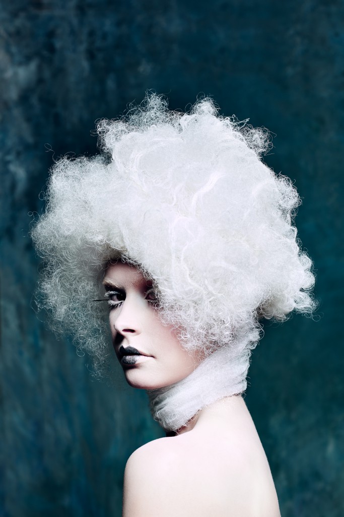 Southwest Hairstlying Awards Winner for Avant Garde Category Julie M Hudson Valley Photographer