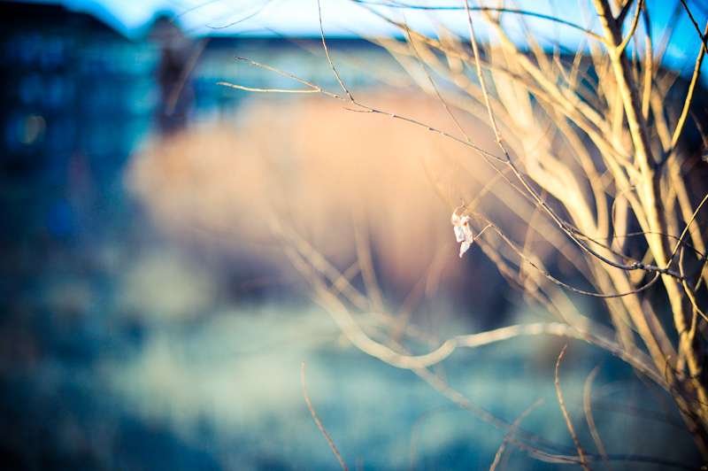 Hudson Valley Photographers { Little bit of Winter Sun }