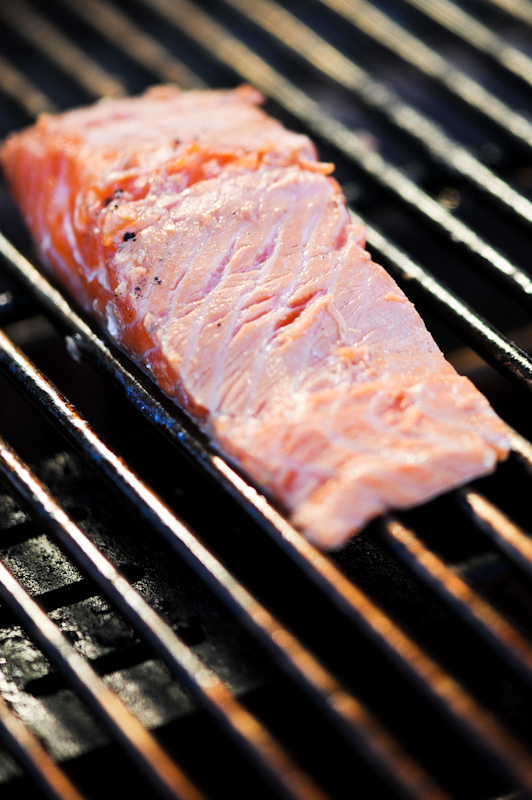 Food Photographer in Hudson Valley { Grilled Alaskan Salmon }